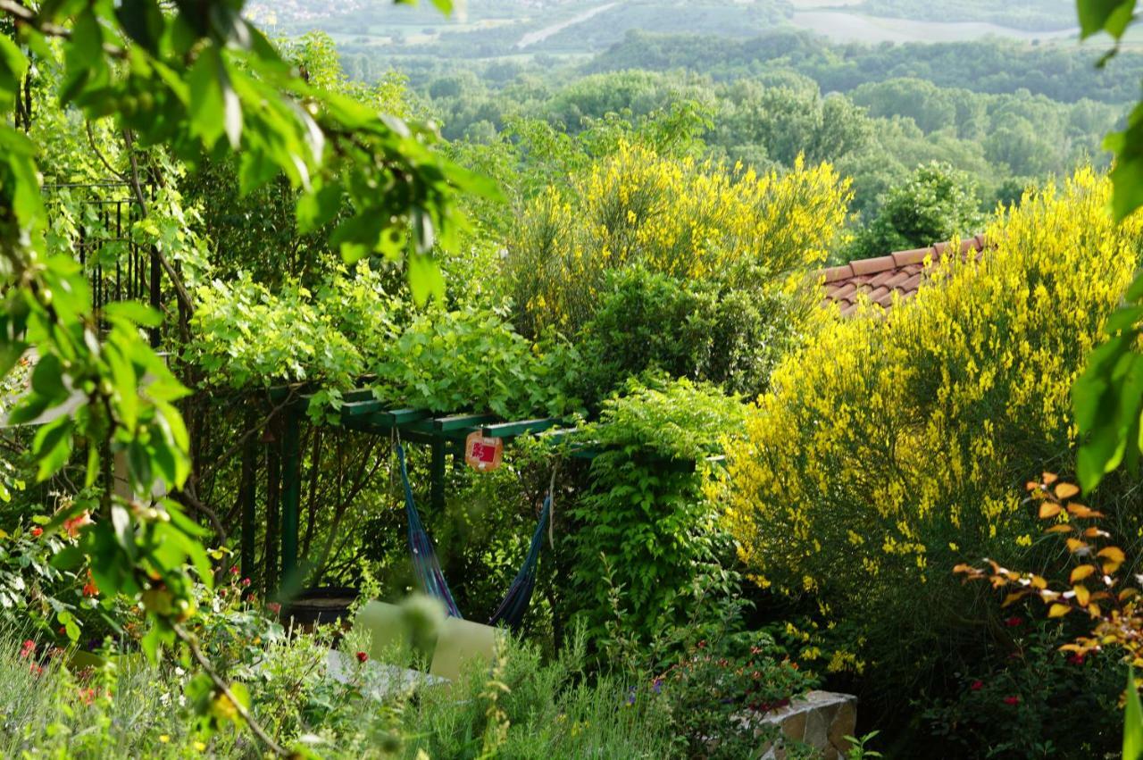 Vila Le Balcon Dallet Exteriér fotografie